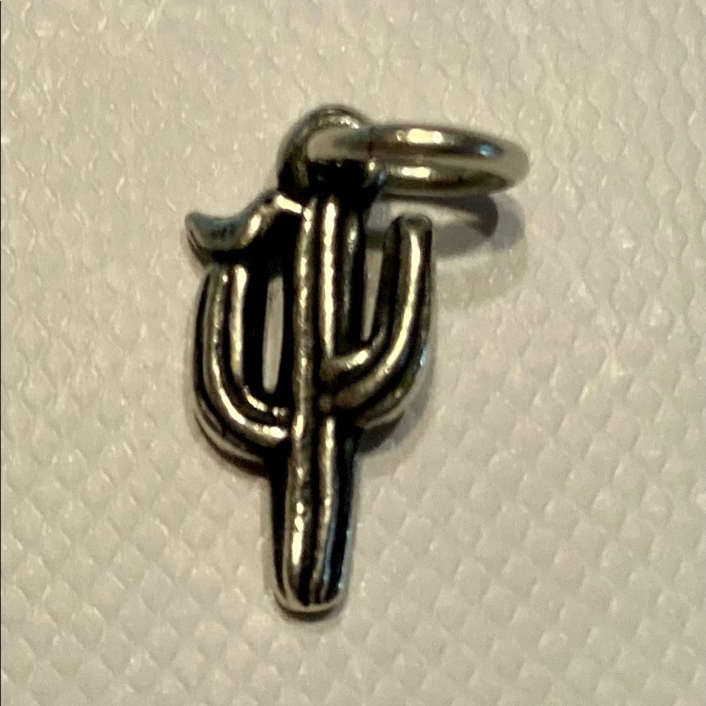 COPY - James Avery Uncut Cactus Charm